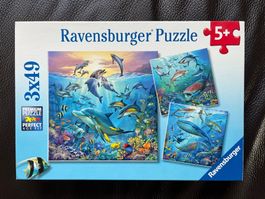 Ravensburger Puzzle 3x49, 5+, neu, verpackt