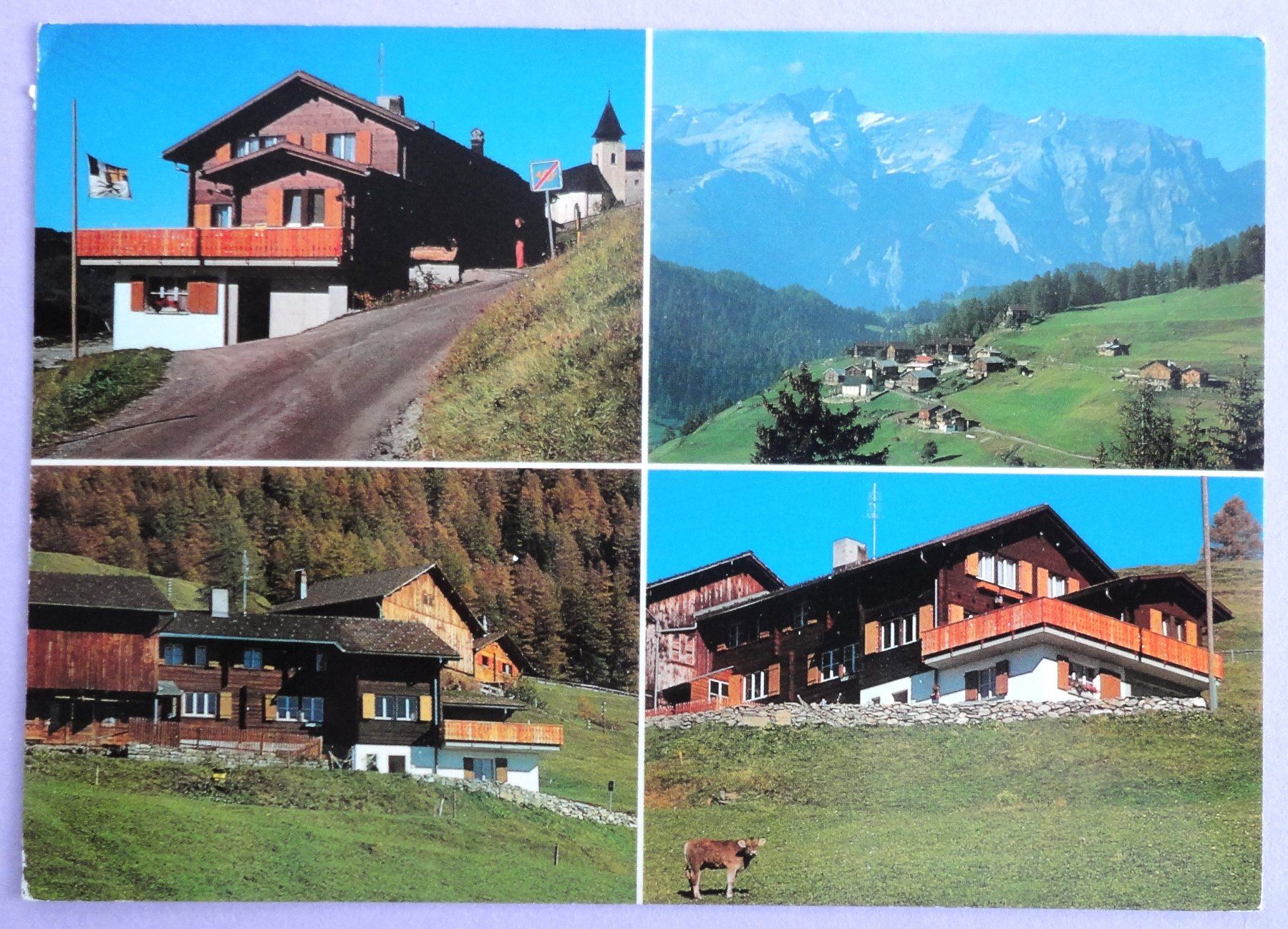 Cartoline postali: Trans im Domleschg – Usato da Fétigny venduto da Billy2miny