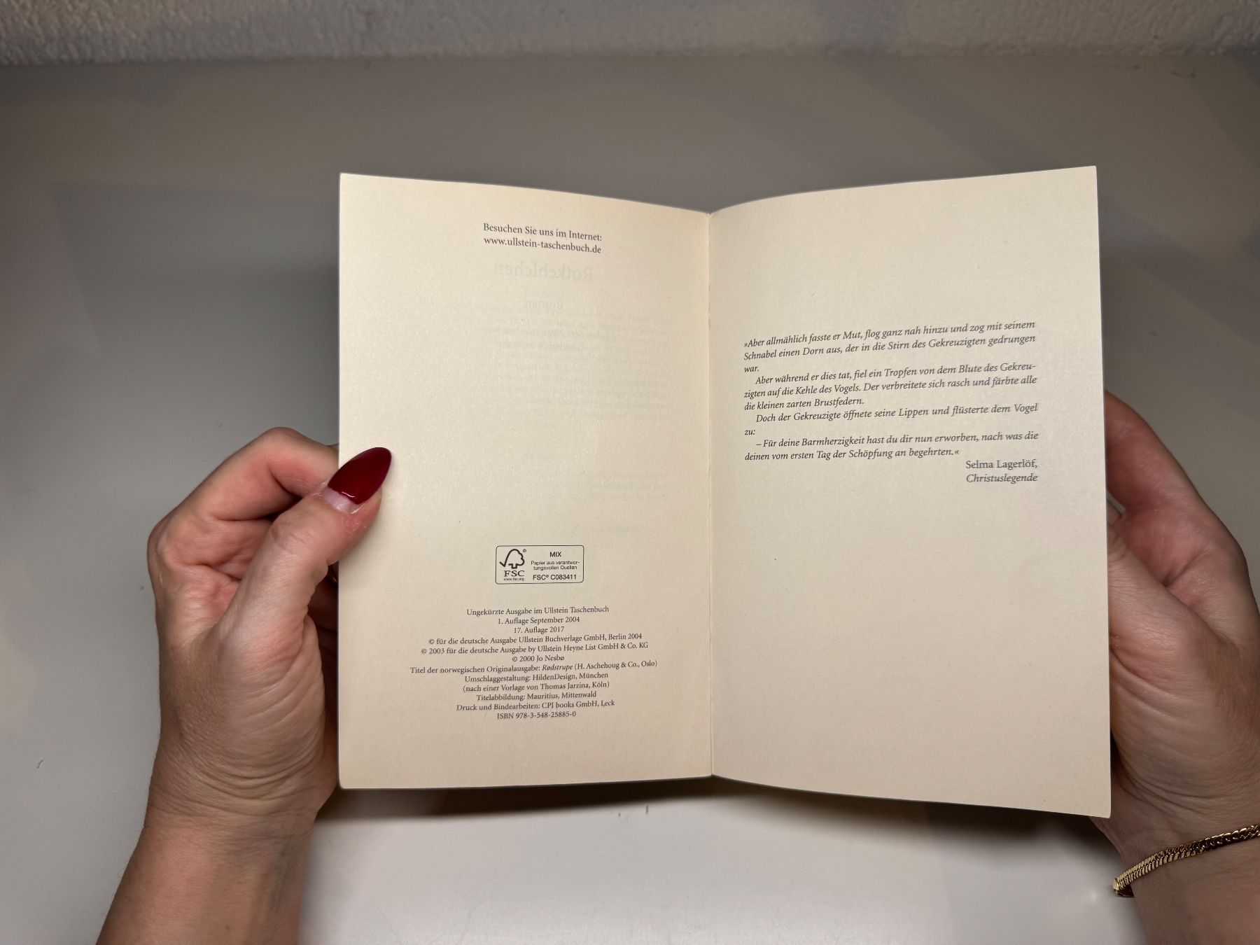 Libri: ROMAN: Jo Nesbo, Rotkehlchen – Usato da Grosswangen venduto da Deutsche_Romane 3