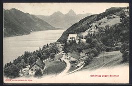 AK Schönegg, Ortsansicht gegen Brunnen