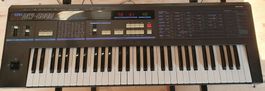 Korg DW-6000