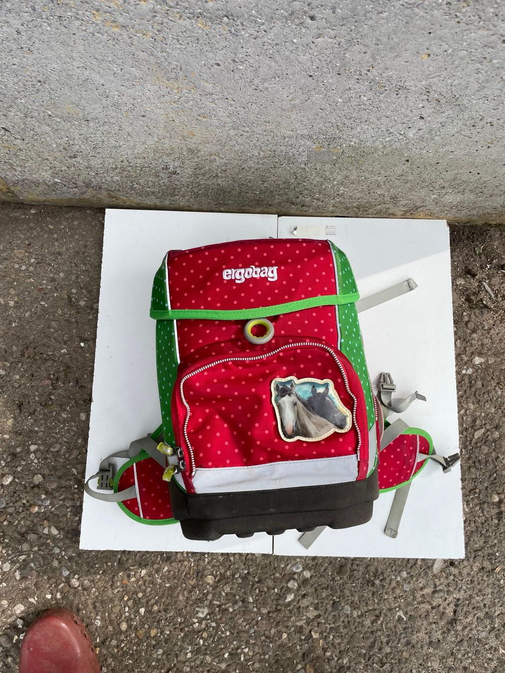 Ergobag Kindertaschen: Ergobag Schulrucksack rot Pferdemotiv – Gebraucht aus Ebikon von el_Pedro