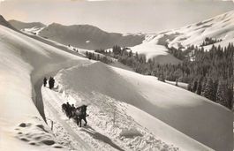 Adelboden Schlittenabfahrt