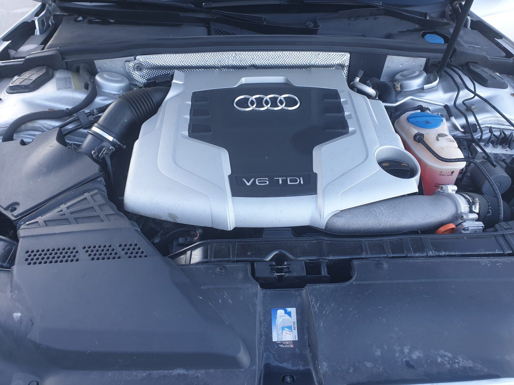 Audi Automobili: A5 Coupé 3.0 TDI quattro – Usato da Au SG venduto da fiat27 5
