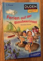 Duden: Leseprofi Buch Ferien auf der Blaubeerinsel 1. Klasse