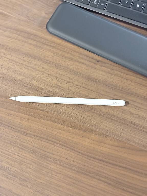 Apple Penna & Evidenziatori: Apple iPad Pencil – Usato da Zürich venduto da h4llo