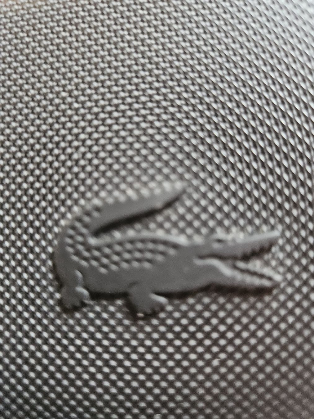 Lacoste Borse: Lacost umehenge Tasche Original – Usato da Bassersdorf venduto da NANDO85 1