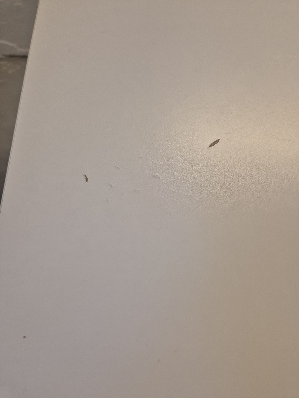 Ikea Tavoli: Ikea Tisch "Melltorp" – Usato da Bern venduto da __p_v_a__ 3