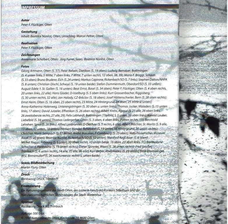 Libri: Winterspeck und Pelzmantel – Usato da Flims - Dorf venduto da Stagediver 5