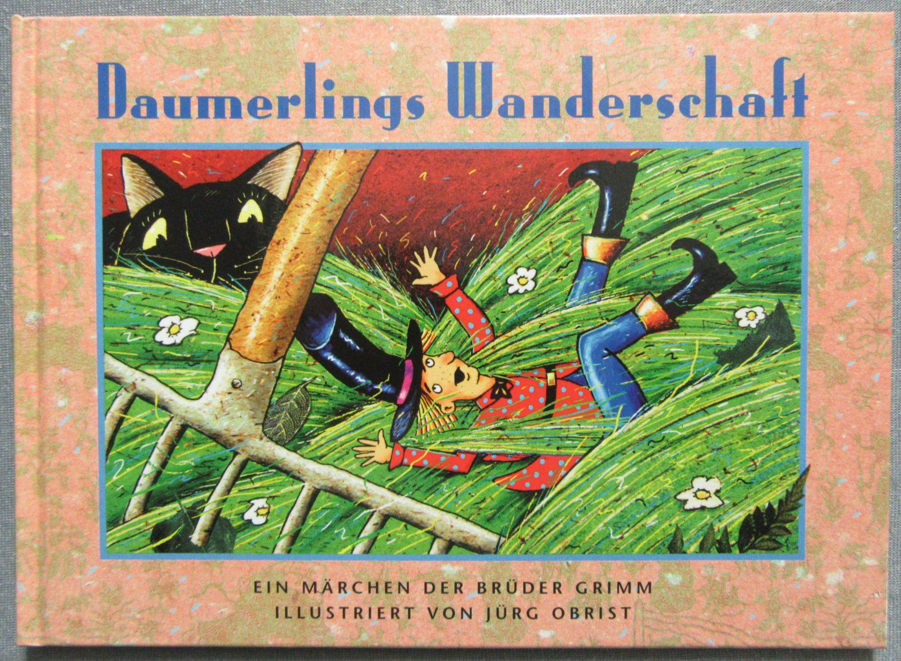 Libri: Daumerlings Wanderschaft - Ein Märchen der Brüder Grimm – Usato da Auenstein venduto da Padabimbim
