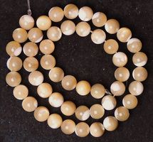 1 Strang echte seltene Burgos Schnecken Perlmutt Perlen 8 mm