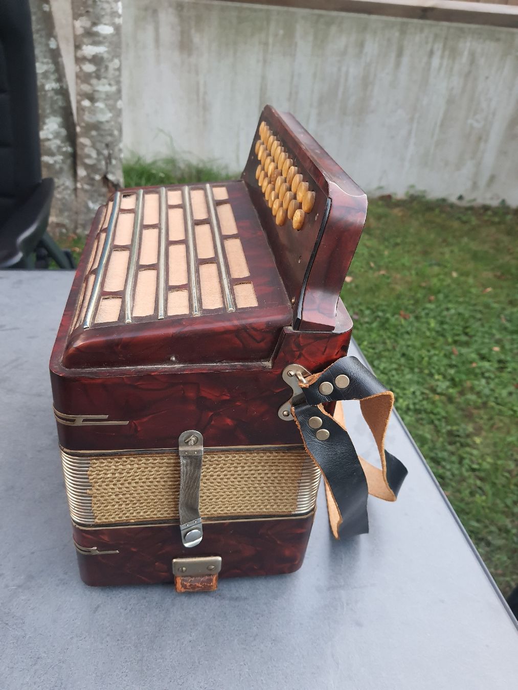 Hohner Strumenti musicali: accordéon hohner norma diatonique  – Usato da Pont-de-la-Morge venduto da Mirabelle0 4