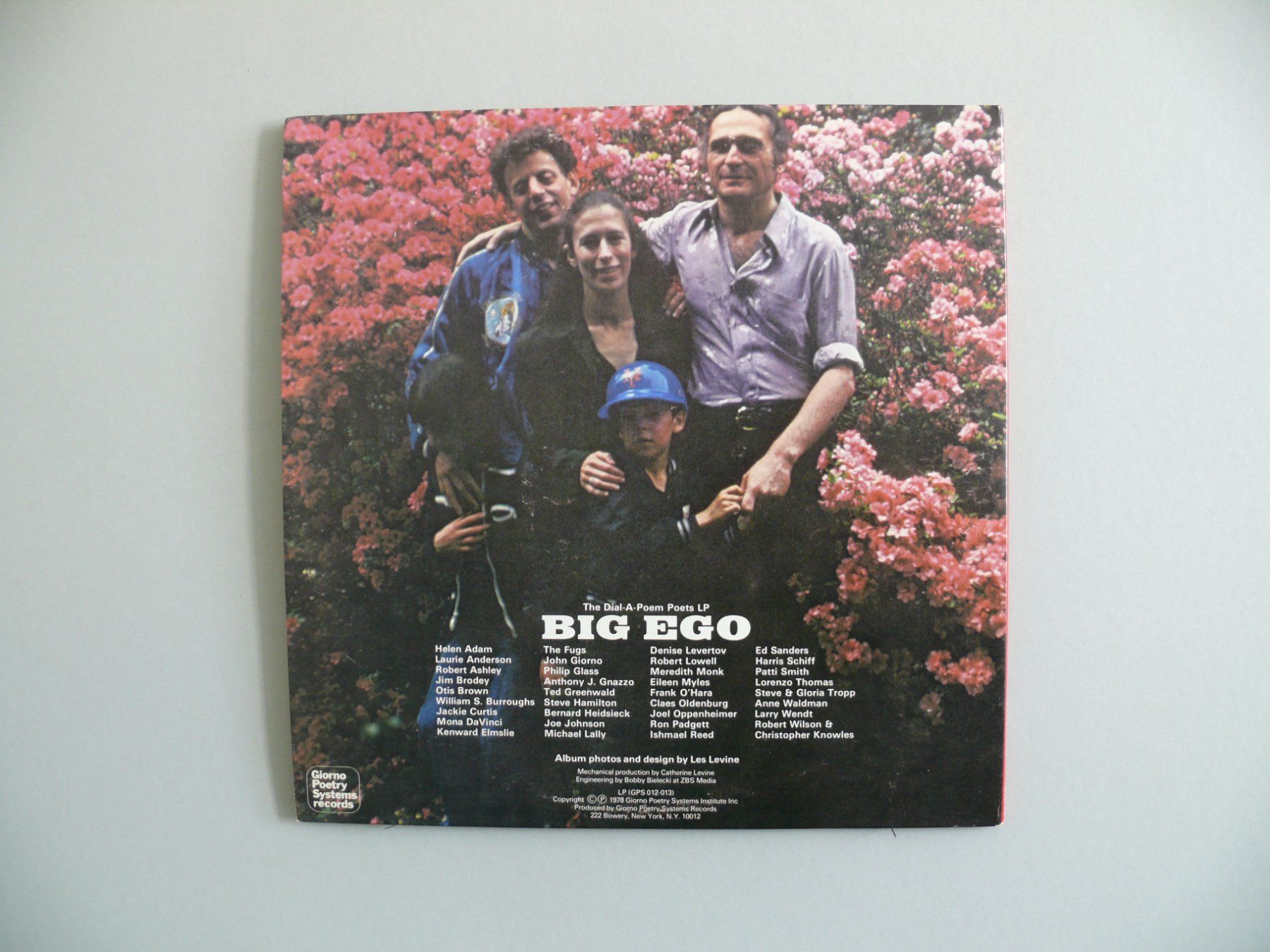 Dischi in vinile: Big Ego – Usato da Scherzingen venduto da packtesan 1