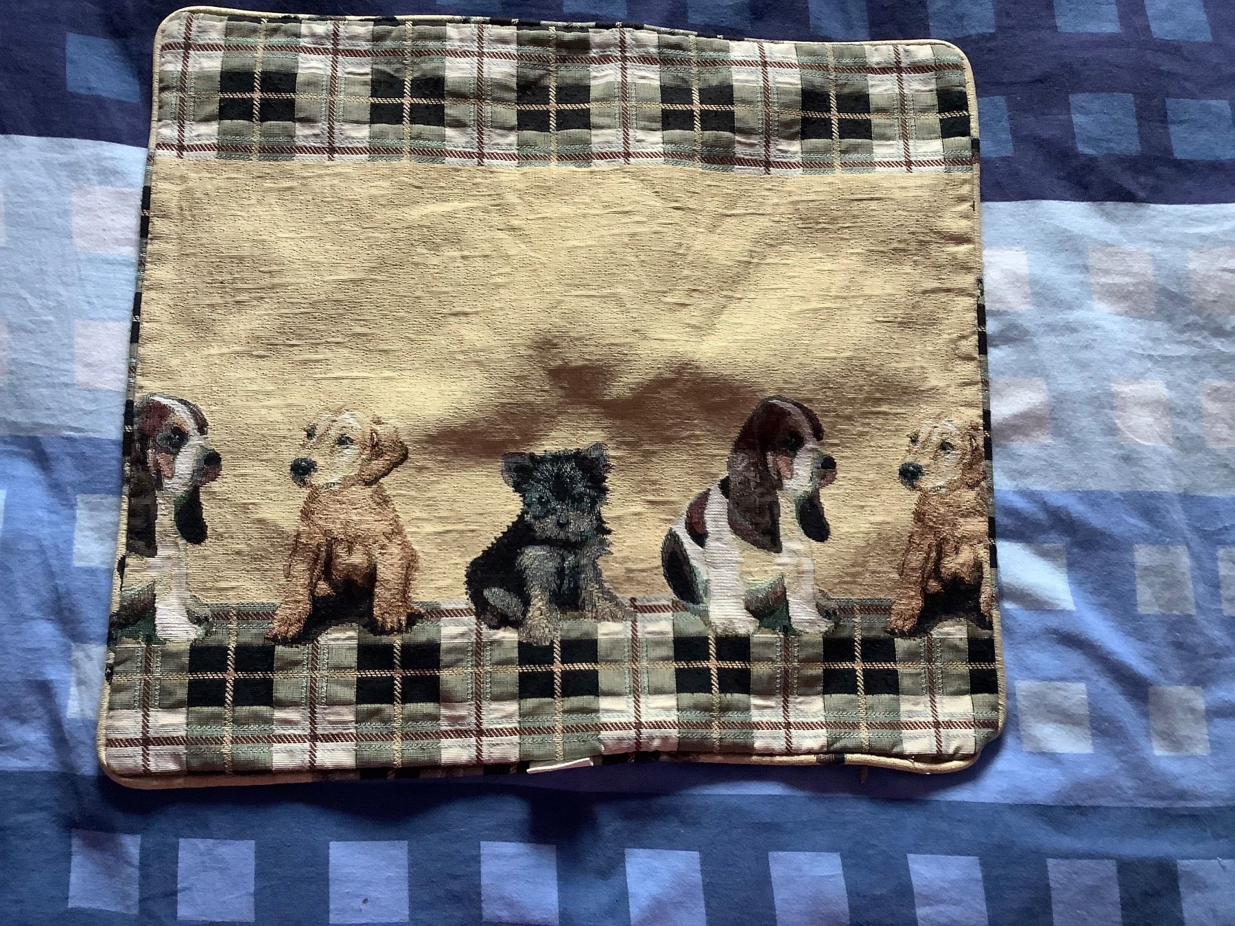 Cuscini: Fourre décorative pour coussin - Qualité de "Schilliger" – Usato da Le Lignon venduto da Gwen77 5