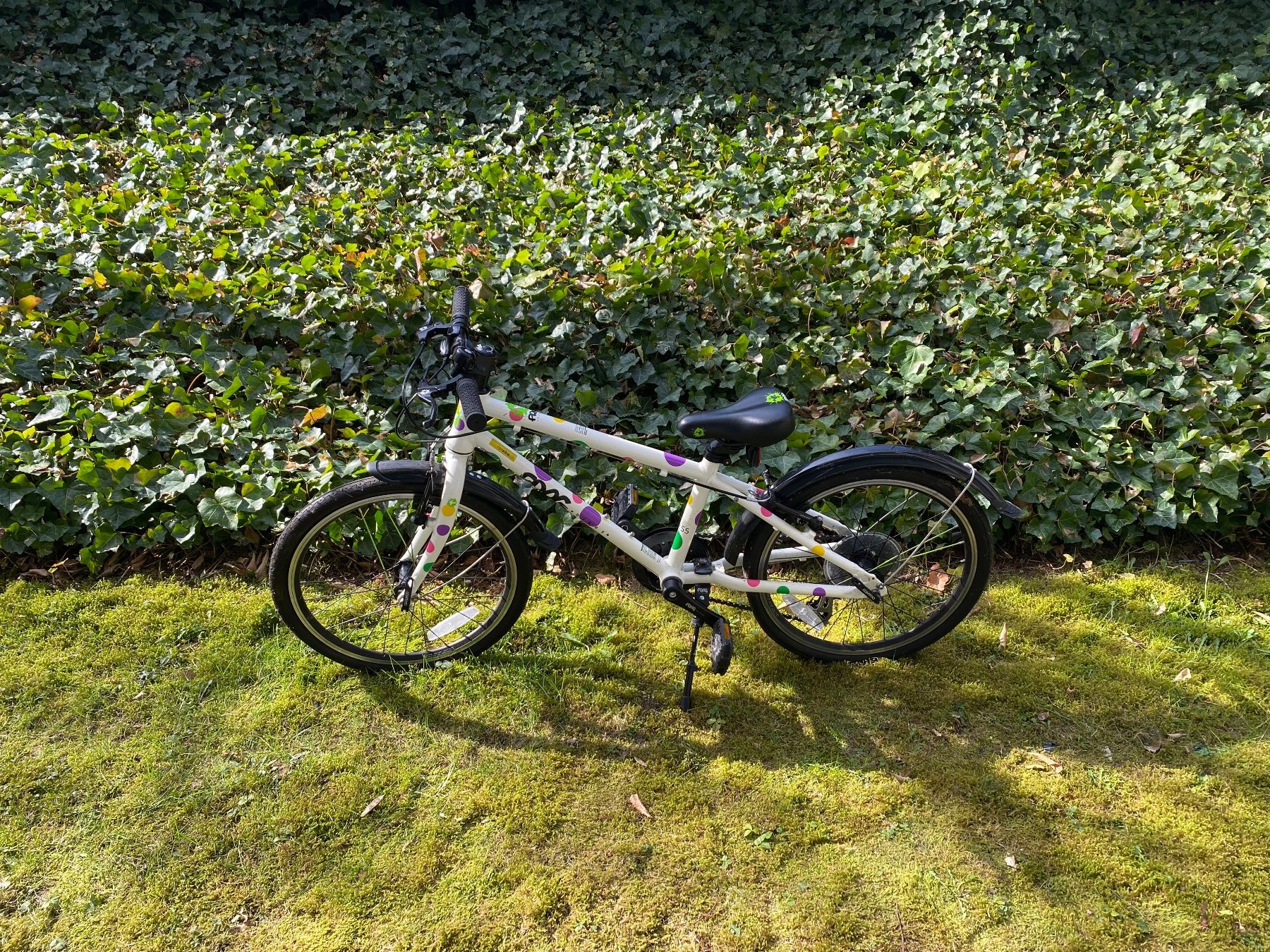 Biciclette: Frog Velo – Usato da Baden venduto da mgeormezi