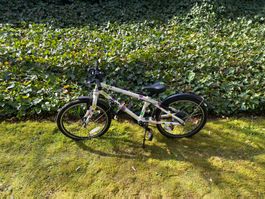 Frog Velo