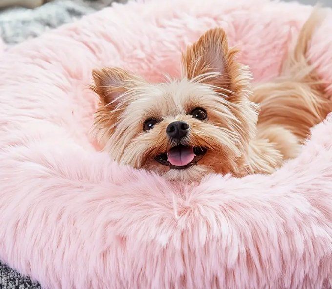 Cucce & Letti: Hundebett,Hundecouch,Katzenbett Grau oder Hellgrau 50cm ⌀ – Nuovo e nell'imballaggio originale da Rorschach venduto da Mr_fairprice 5