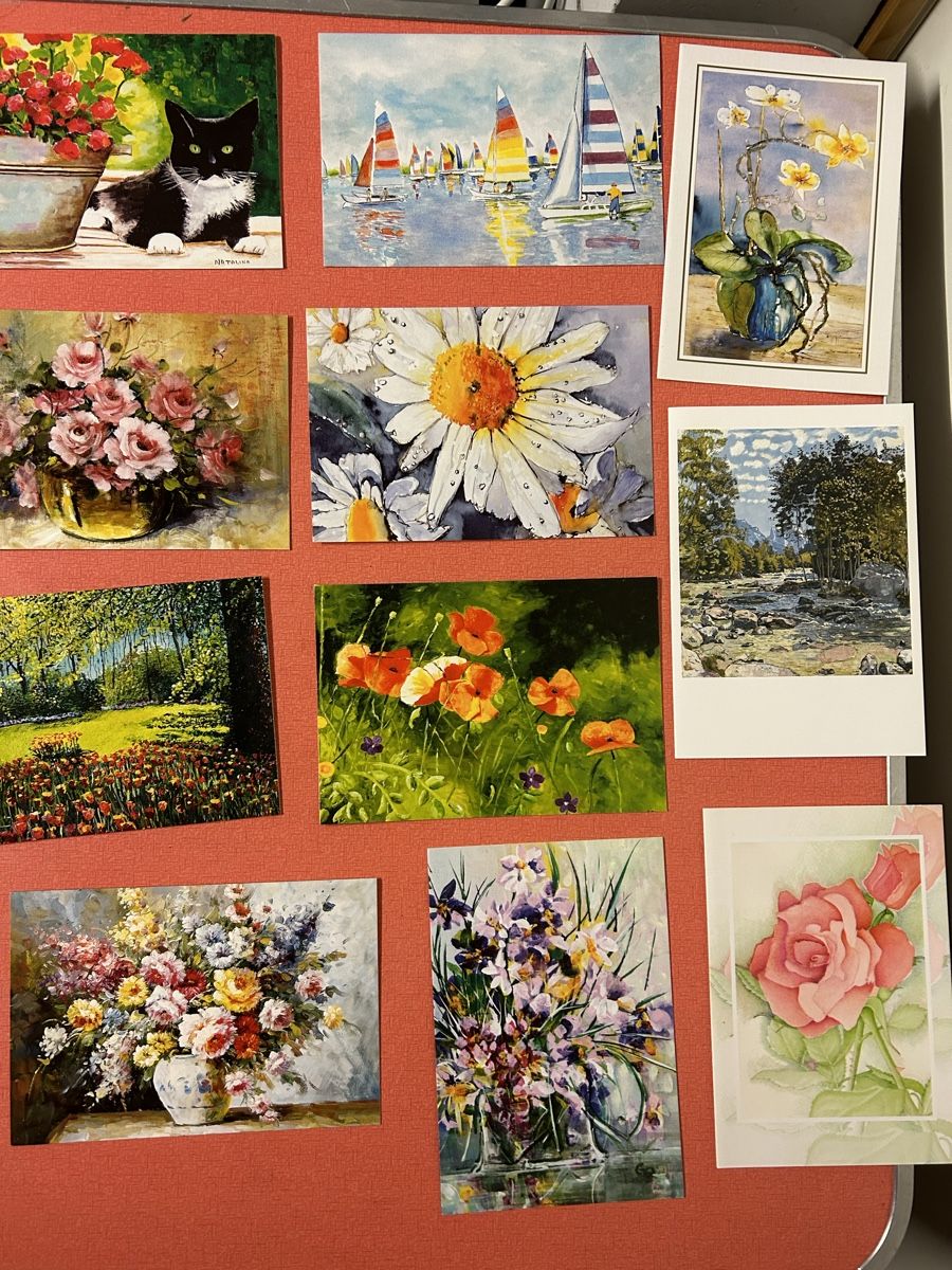 Karten: 19 Postkarten, Blumen, Katze, Ostergrusskarten – Gebraucht aus Lanzenhäusern von vic63 2