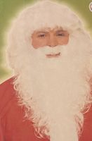 Perücke Weihnachtsmann, Nikolaus, Santa Claus, Santa Run