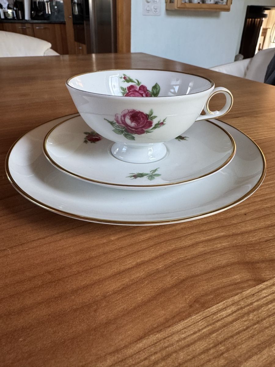 Kaiser Set di piatti: Kaiser Teetasse mit Dessertteller Rosen – Usato da Therwil venduto da rowe-spezial
