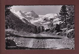 ROSEGGRUPPE - 1956