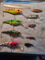 leurres pour pêche spro / illex