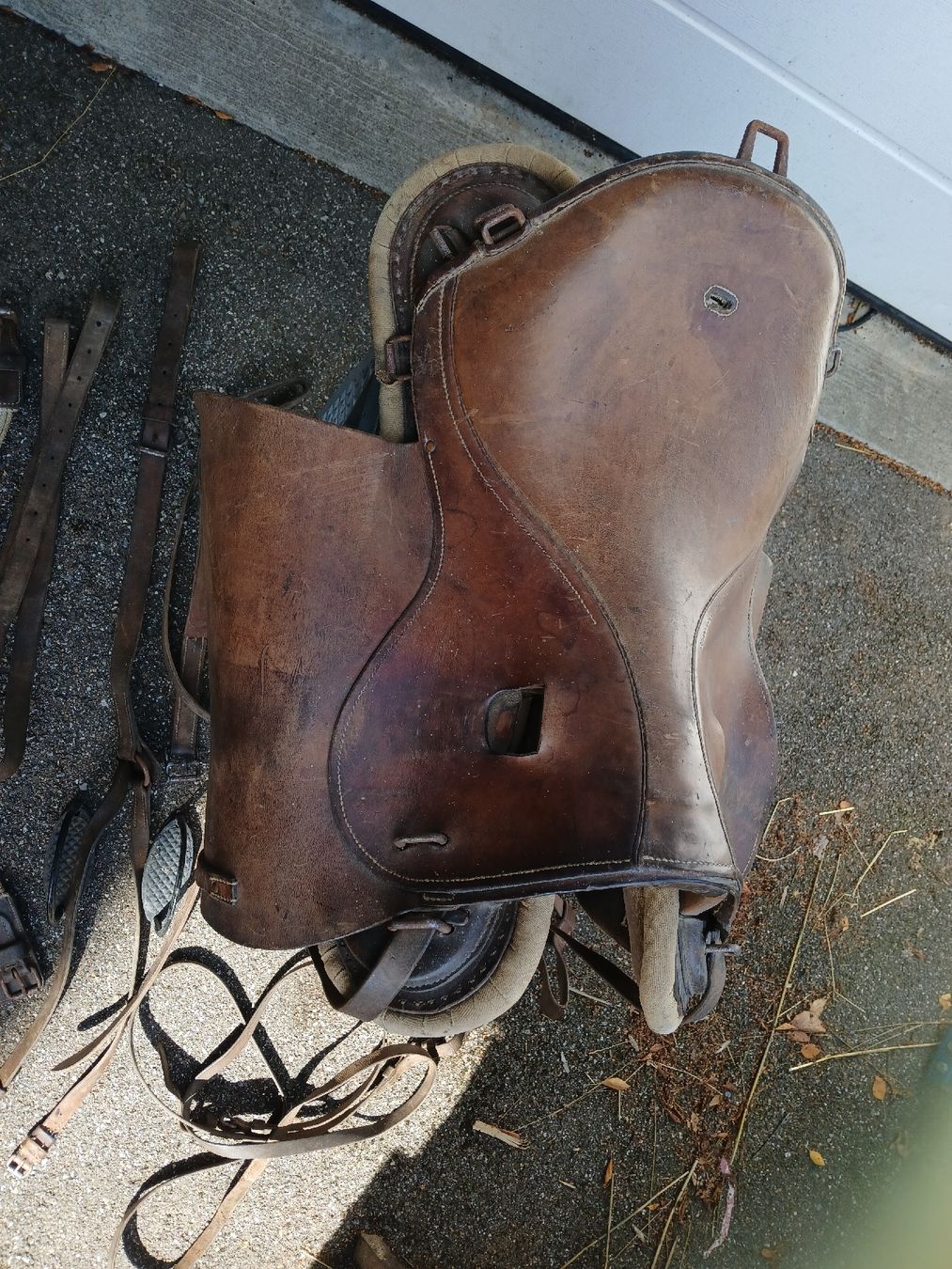 Selles, accessoires: Selle dragon – D'occasion à Le Château-Croix par ferominod 1