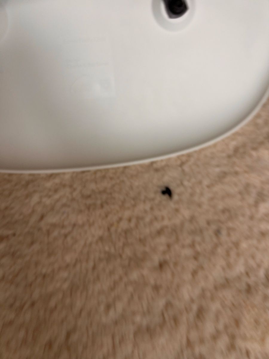 Vitra Stühle: Original Vitra Eames Plastic Side Chair RE DSW – Gebraucht aus Zürich von rui_mqw2 4