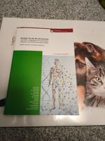 Biologie, Chemie & Physik Buch