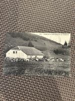 Carte postale ancienne: Chalet Robellaz, Chasseron. 46 Carac