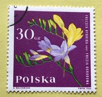 Briefmarken aus  Polen gestempelt  Siehe Original Fotos. 