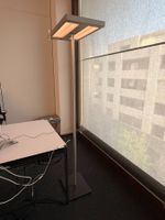 Tradingzone Stehlampe (Lot 210A) 8304 Wallisellen