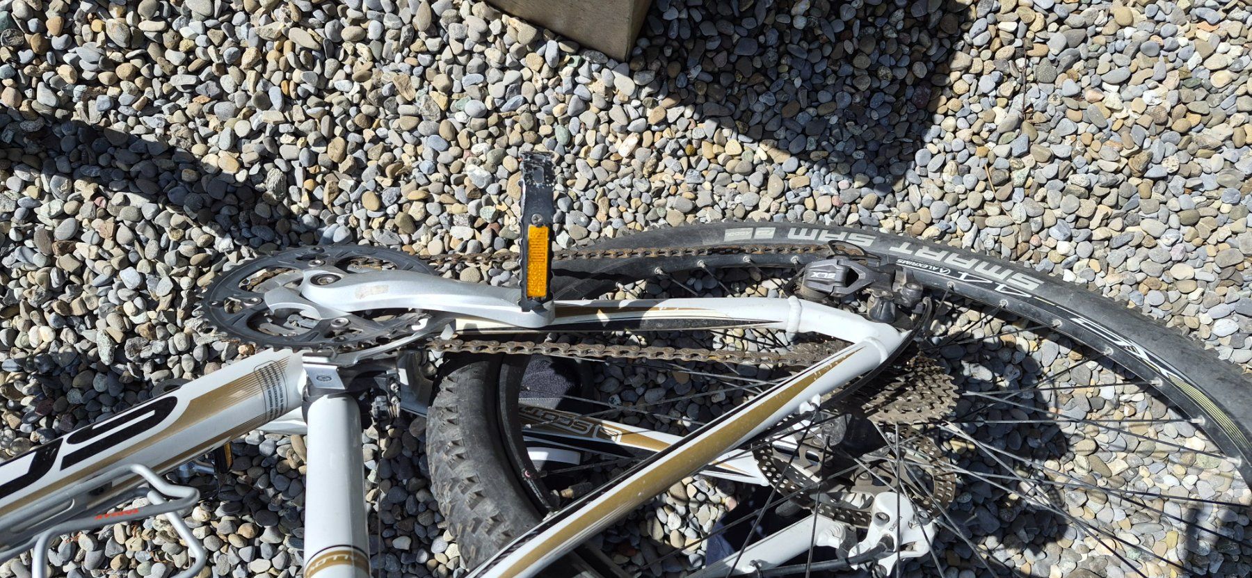 Scott Biciclette: Jugendbike Scott – Usato da Brunnen venduto da Joeboehringer 2