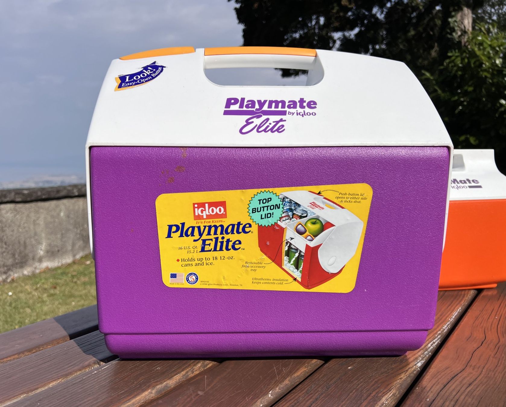 Frigoriferi & Refrigeratori: Vintage Playmate Elite by Igloo I Kühlbox – Usato da Walzenhausen venduto da stilvollwohnen