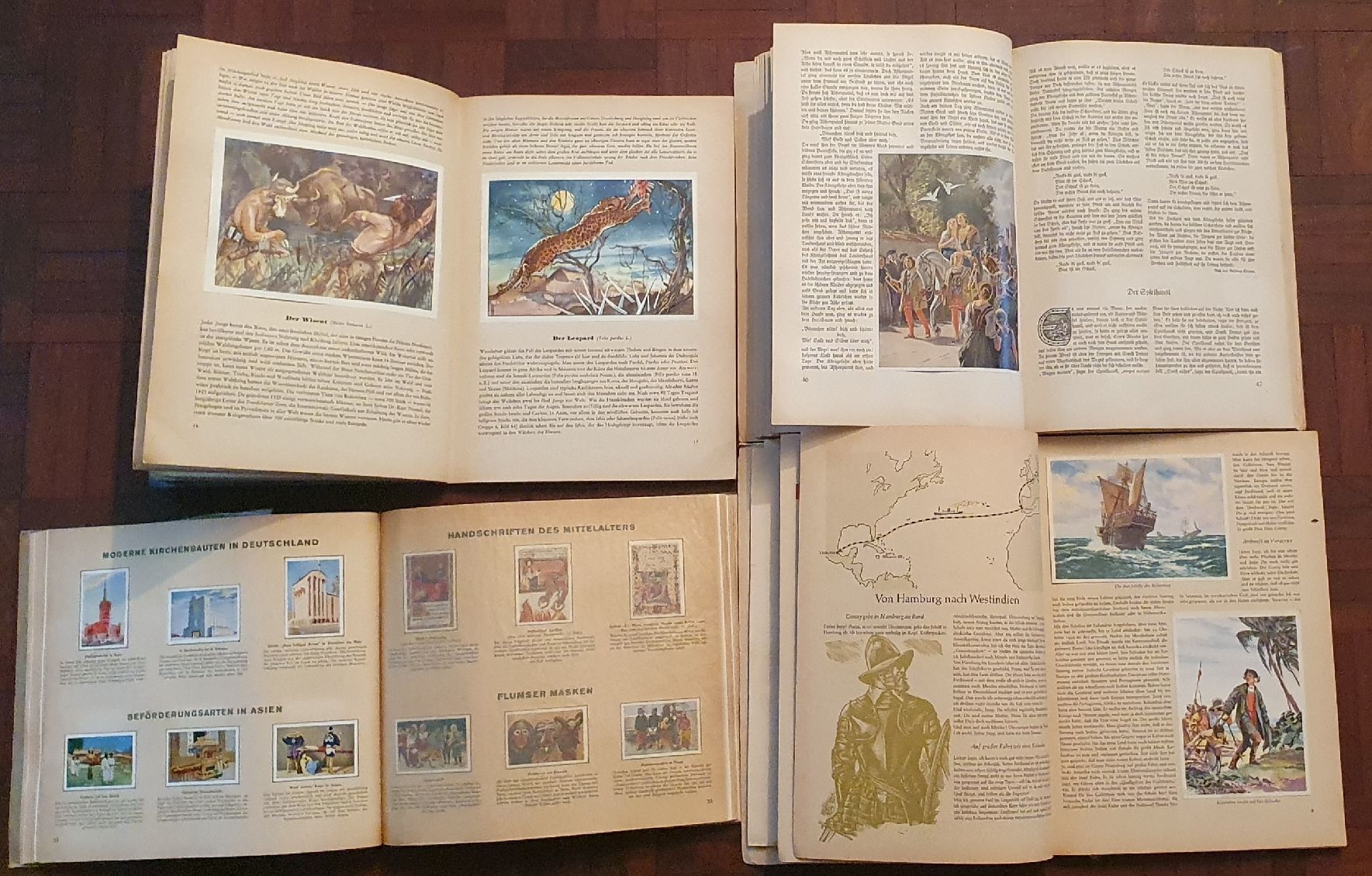 Carte collezionabili: 20 Zigarettenbilderalbum – Usato da Kreuzlingen venduto da Rschweiz1 5