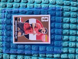 Salah Panini 2026 Extra Sticker Bronze