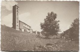 PRATO TI 1920