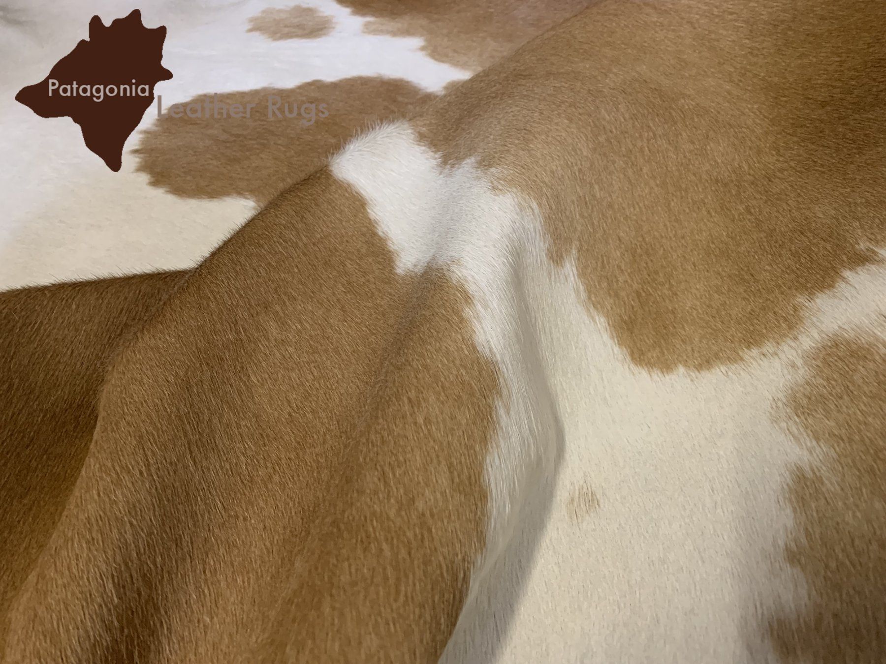 Tappeti: echtes Kuhfell Teppich Beige/White – Nuovo e nell'imballaggio originale da Arbedo venduto da patagonialeatherrugs 2