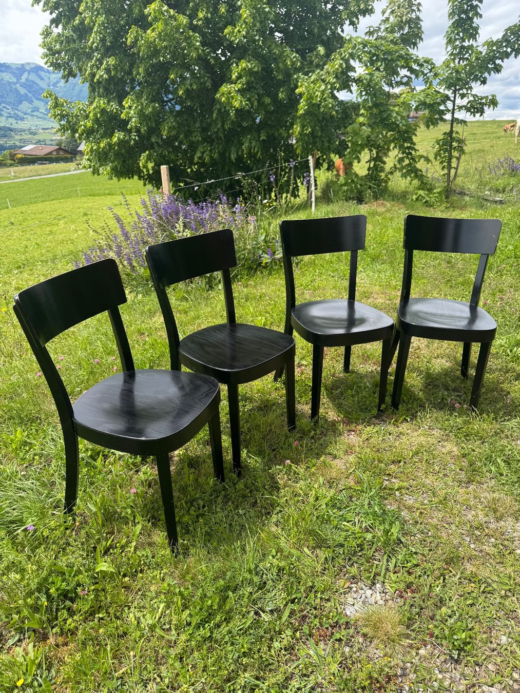 Horgen Glarus Stühle: Horgenglarus Beizenstühle (4 Stück) – Gebraucht aus Aeschlen ob Gunten von keepthebeat 1