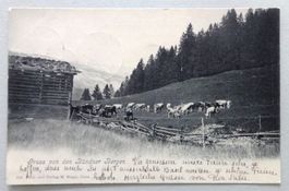 Gruss von den Bündner Bergen