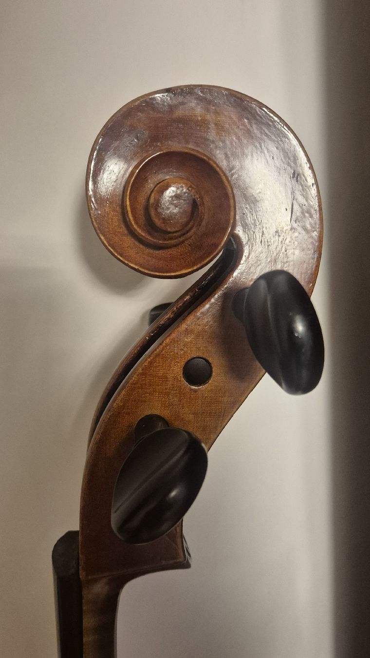 Strumenti musicali: Cello zu Verkaufen – Usato da Rämismühle venduto da beni0010 3