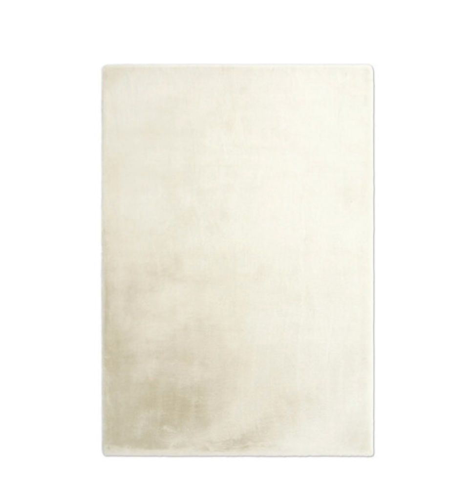 Tappeti: Teppich Beige 160x230cm – Usato da Braunau venduto da vir_7xst