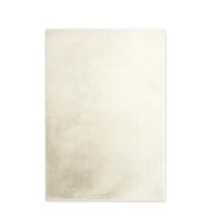 Teppich Beige 160x230cm
