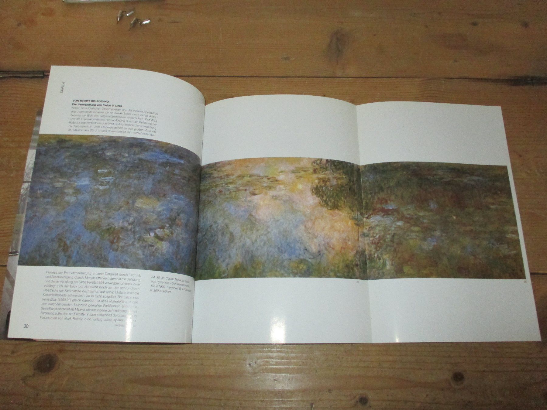 Libri: Fondation Beyeler Sondernummer Nr. 120 – Usato da Flims - Dorf venduto da Stagediver 5