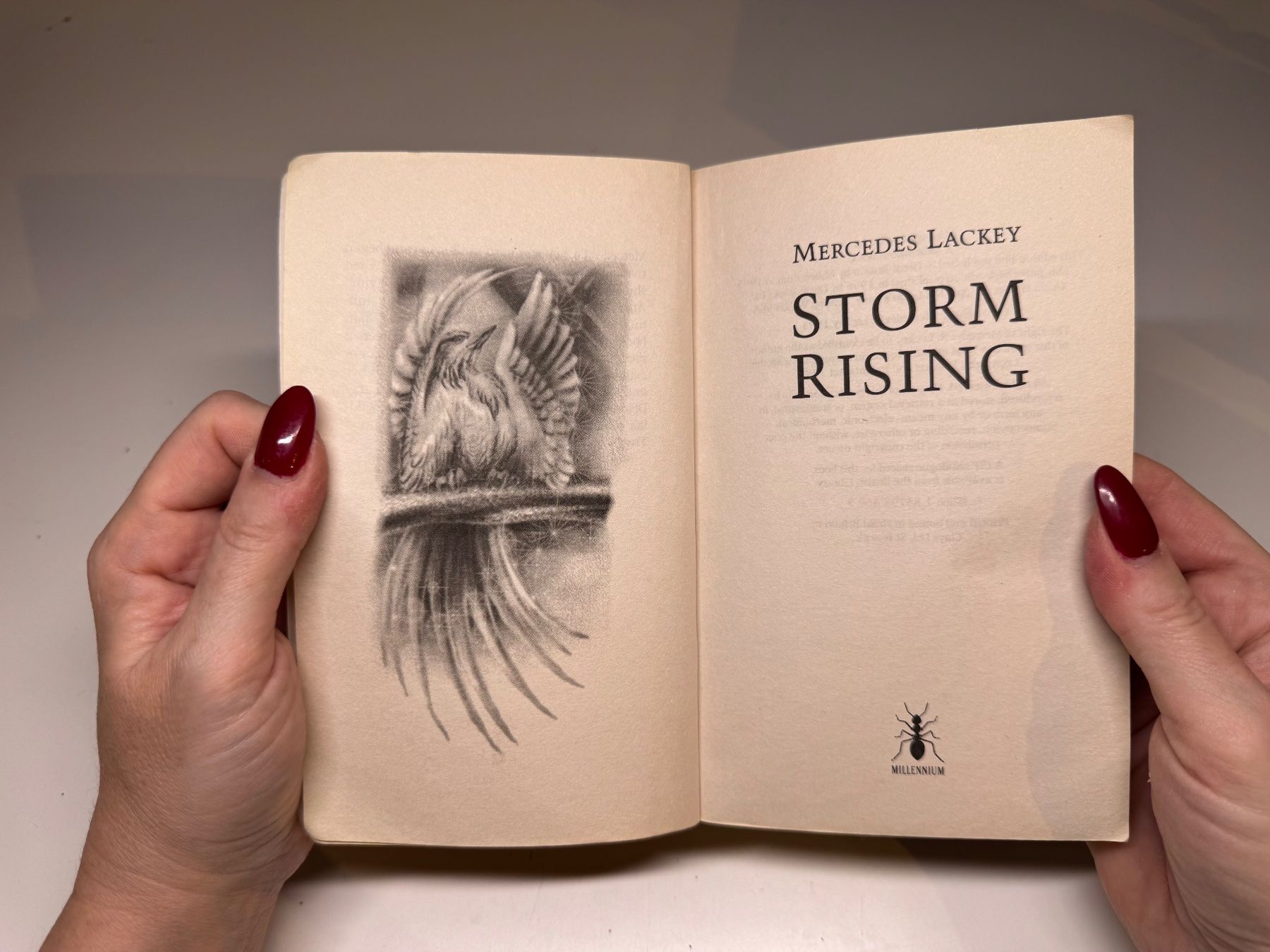 Bücher: NOVEL: Mercedes Lackey, Storm Rises – Gebraucht aus Grosswangen von English_books 2