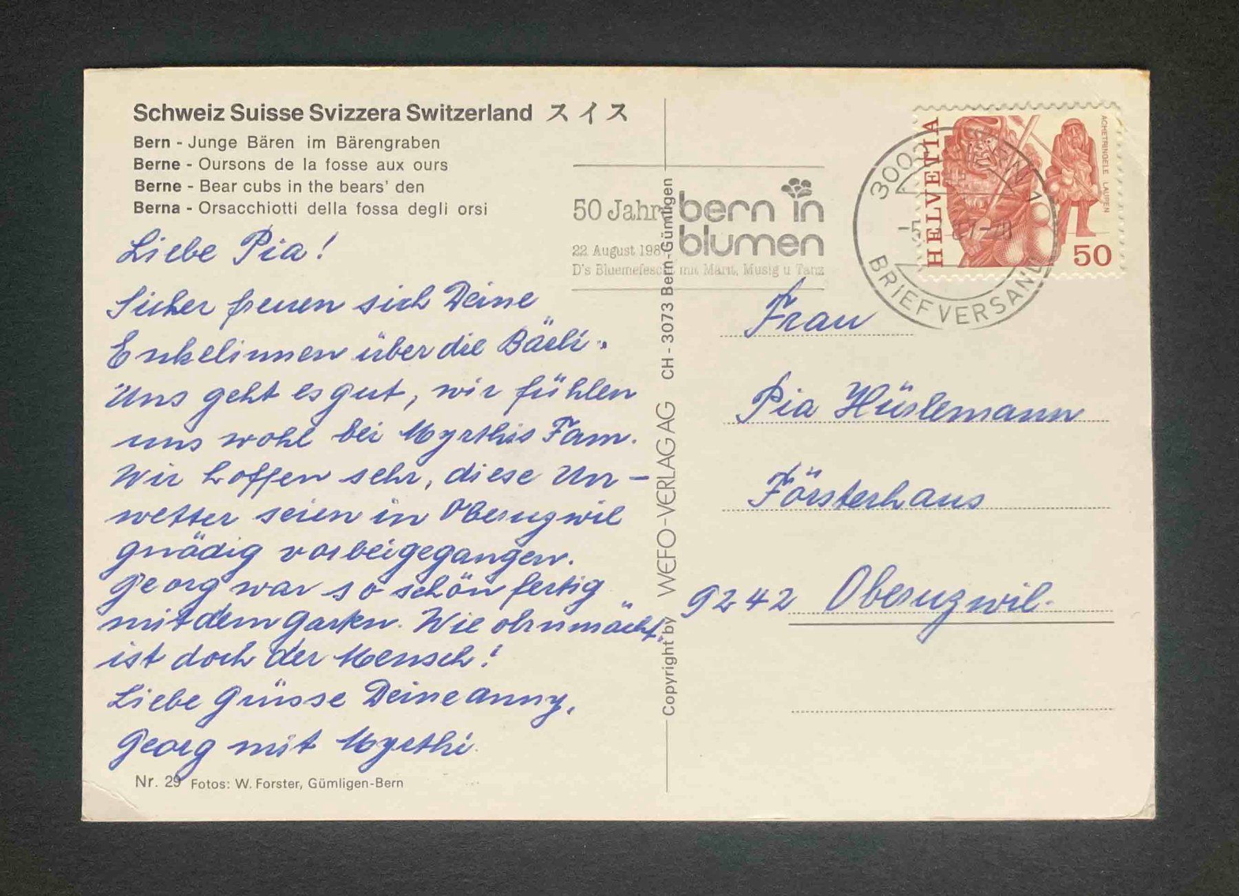 Cartoline postali: AK Bern Junge Bären im Bärengraben – Usato da Goldau venduto da artelier1 1