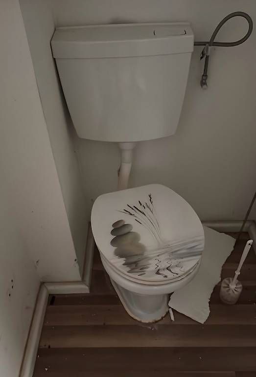 WC: Stand-WC mit Spülkasten  – Gebraucht aus Münchwilen AG von me2work