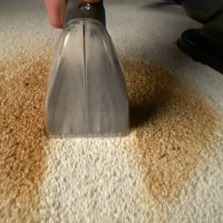 Pulitori a vapore: Waschsauger "livington spot blast" – Usato da Grünenmatt venduto da LS91 3
