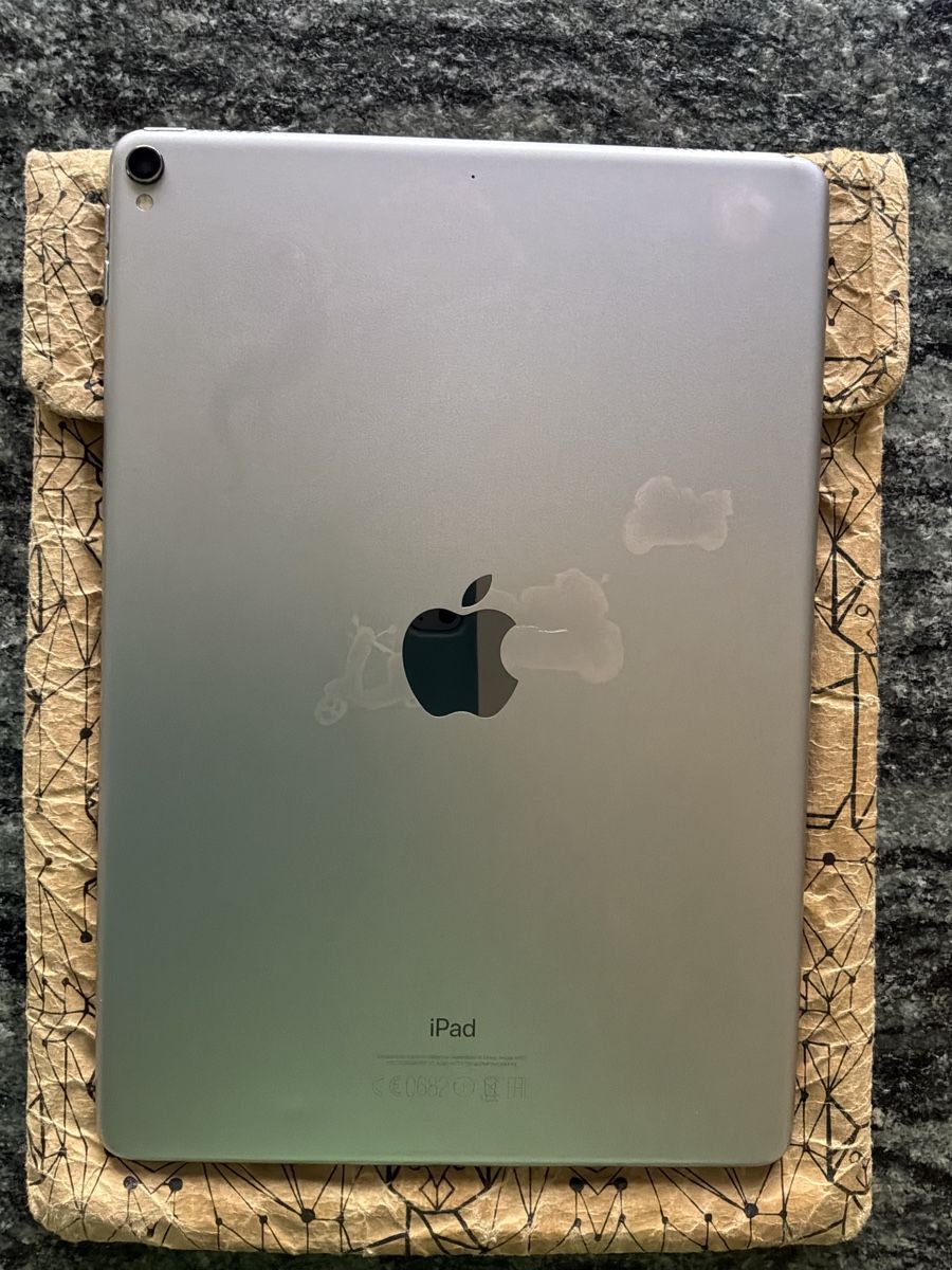 Apple Tablet PC: iPad Pro 1. Generation, 256GB, silber inkl. Apple Pencil – Usato da Bremgarten AG venduto da Belana0 5