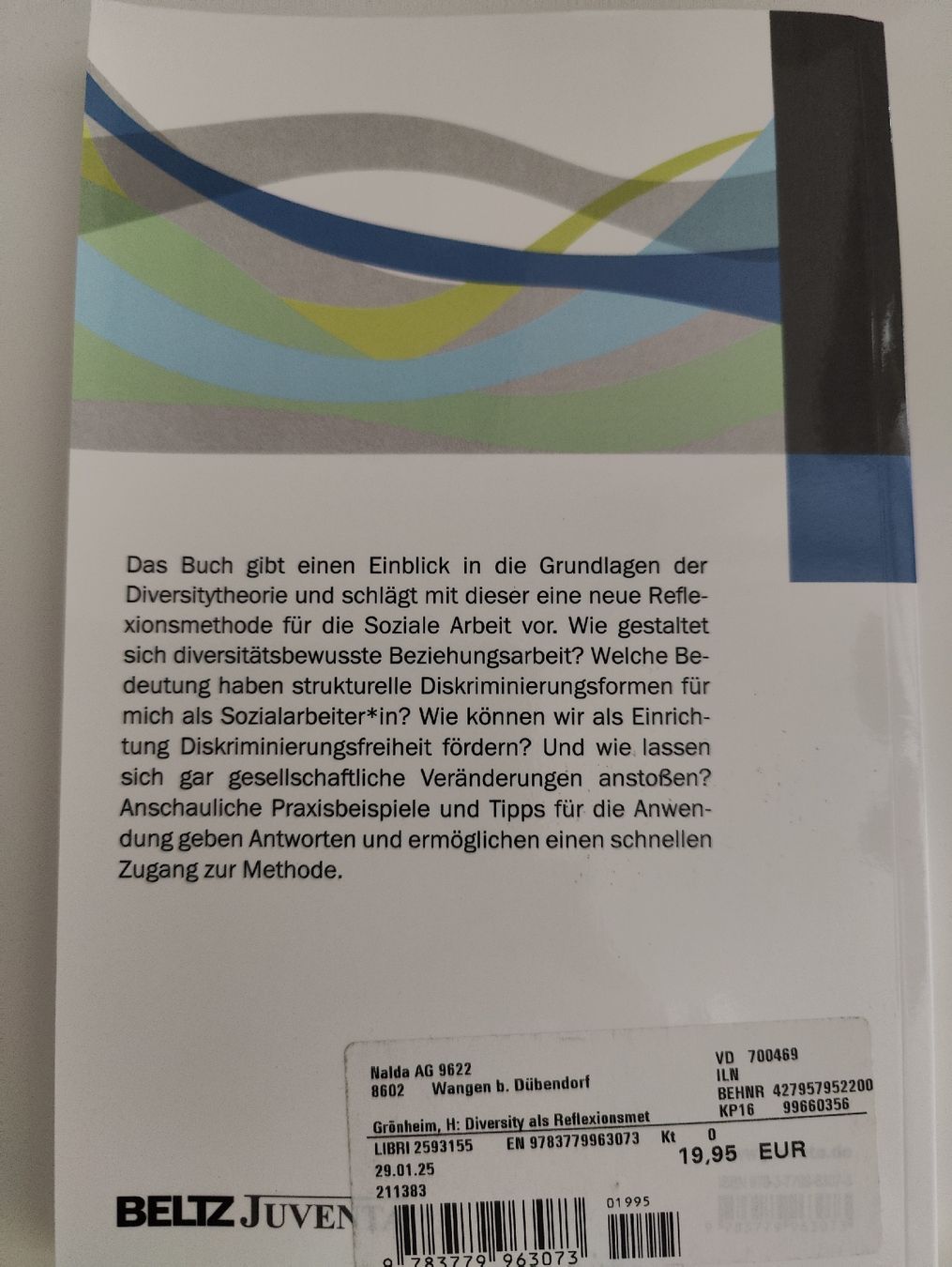 Libri: Diversity als Reflexionsmethode sozialer Arbeit  – Usato da Walkringen venduto da kimleu22 1